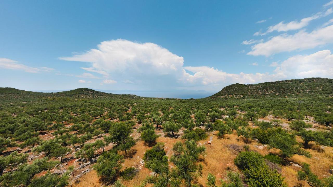 Appartement In Olive Groove House Peloponnesos Western Mani Kalianeika Kültér fotó
